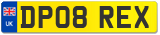 DP08 REX
