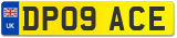 DP09 ACE