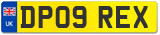 DP09 REX
