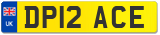 DP12 ACE