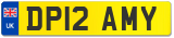 DP12 AMY