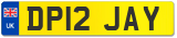 DP12 JAY