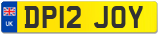 DP12 JOY