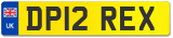 DP12 REX