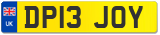 DP13 JOY