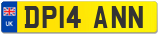 DP14 ANN