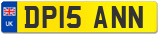 DP15 ANN