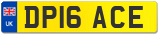 DP16 ACE