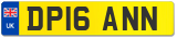 DP16 ANN