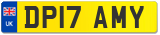 DP17 AMY