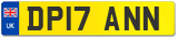 DP17 ANN