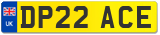 DP22 ACE