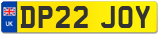 DP22 JOY