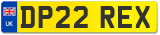 DP22 REX