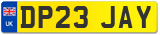 DP23 JAY