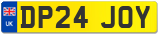 DP24 JOY