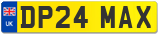 DP24 MAX