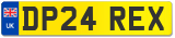 DP24 REX