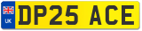 DP25 ACE