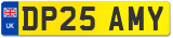 DP25 AMY