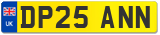 DP25 ANN