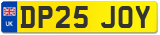DP25 JOY