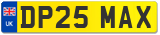 DP25 MAX