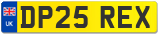 DP25 REX