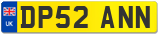 DP52 ANN