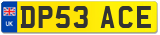 DP53 ACE