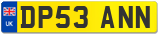 DP53 ANN