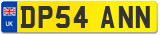 DP54 ANN