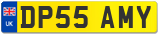 DP55 AMY