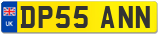 DP55 ANN