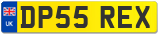 DP55 REX