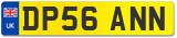 DP56 ANN