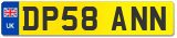 DP58 ANN