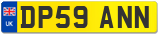 DP59 ANN