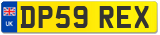 DP59 REX