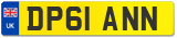 DP61 ANN