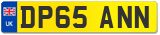 DP65 ANN