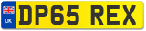 DP65 REX