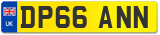 DP66 ANN