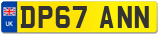 DP67 ANN