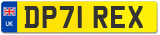 DP71 REX