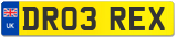 DR03 REX