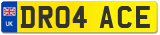 DR04 ACE