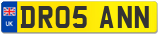 DR05 ANN