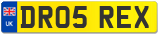 DR05 REX
