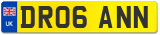 DR06 ANN